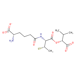 2vcm_1 Structure