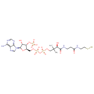 2vig_5 Structure