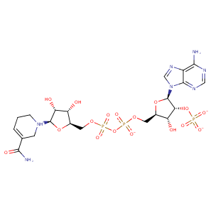 2vna_1 Structure