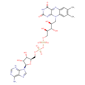 2vnj_1 Structure