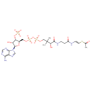 2vqy_1 Structure