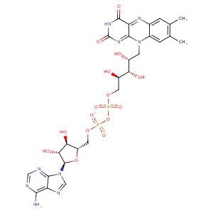 2vvl_4 Structure