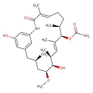 2vw5_2 Structure