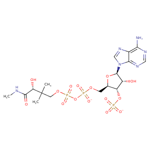 2vxk_1 Structure