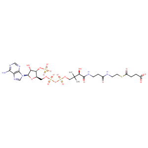 2vzz_1 Structure