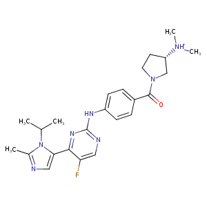 2w17_1 Structure