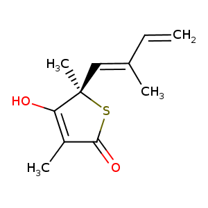 2wgg_5 Structure