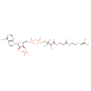 2wlg_2 Structure