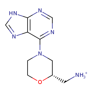 2wmv_1 Structure