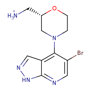 2wmw_1 Structure