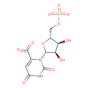 2wns_1 Structure