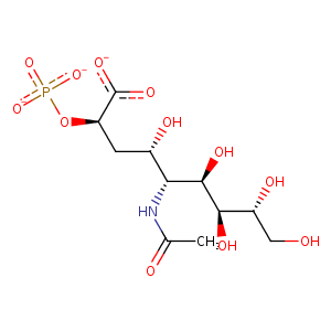 2wqp_1 Structure