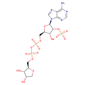 2wzm_1 Structure