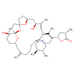 2wzy_4 Structure