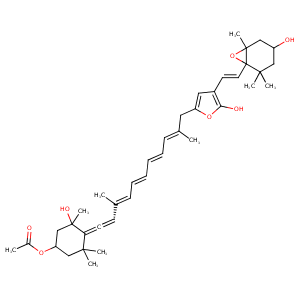 2x1z_3 Structure