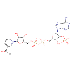 2xlt_2 Structure