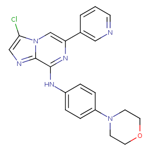 2xne_1 Structure