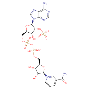 2xw7_2 Structure