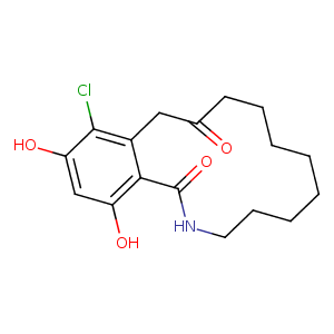 2xx2_4 Structure