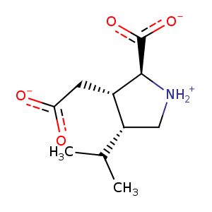 2xxv_1 Structure