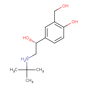 2y04_3 Structure