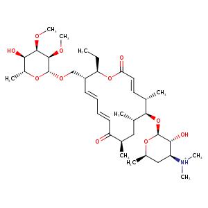 2y46_3 Structure