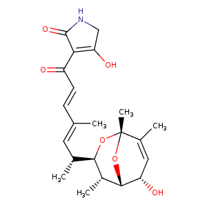 2y4g_1 Structure