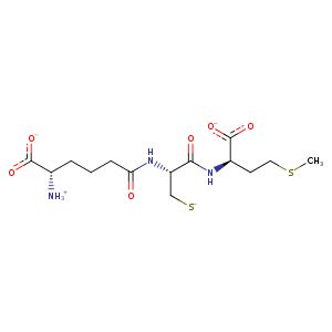 2y60_1 Structure