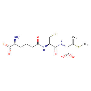 2y6f_1 Structure