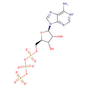 2yj4_1 Structure
