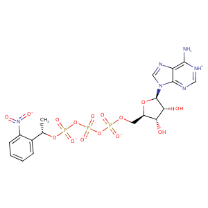 2yj5_1 Structure