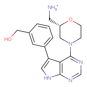 2ym5_1 Structure