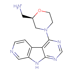 2ym6_1 Structure