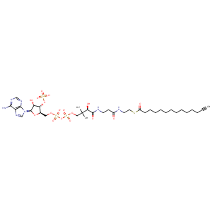 2ync_1 Structure