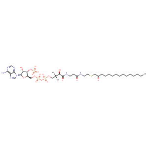 2yne_3 Structure