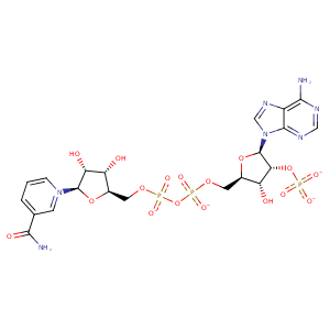 2yyy_2 Structure