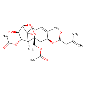 2zba_4 Structure