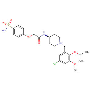 2zjm_1 Structure