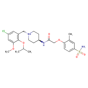 2zjn_1 Structure