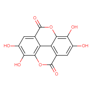 2zjw_1 Structure