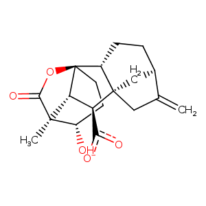 2zsi_1 Structure