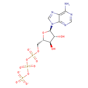 2zt7_1 Structure