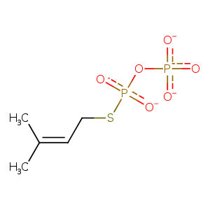 2zxu_2 Structure