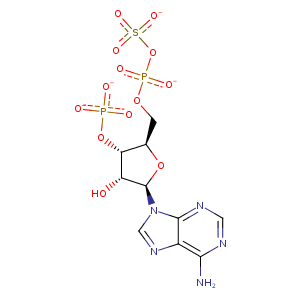 2zyt_1 Structure