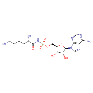 3a5y_3 Structure