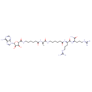 3agl_2 Structure