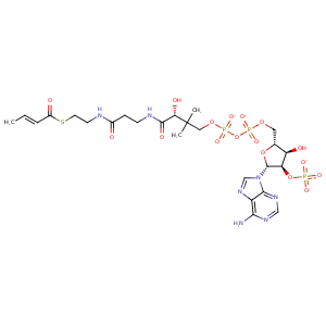 3b6z_1 Structure