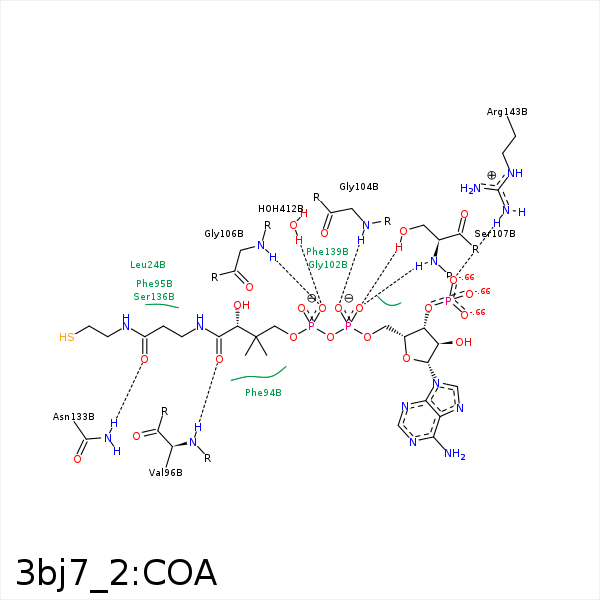 Binding mode