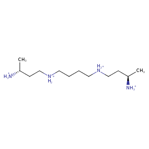 3bnm_1 Structure