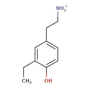 3bug_1 Structure